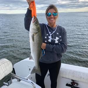 Meet your Posher, Tammy